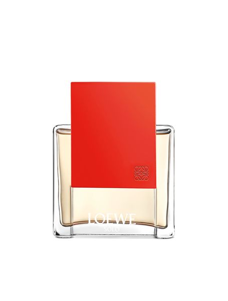 perfume solo loewe